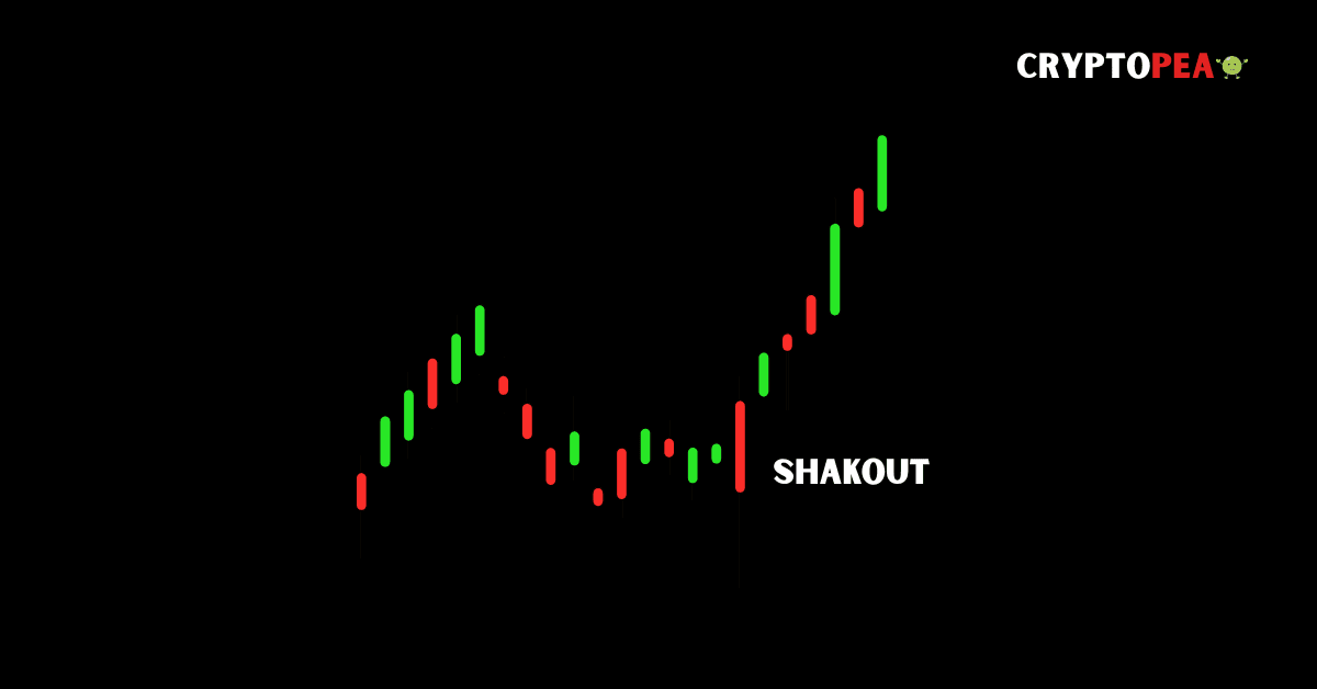 Visual representation of whales' shakeout phases, illustrating market manipulation and accumulation strategies in crypto trading.