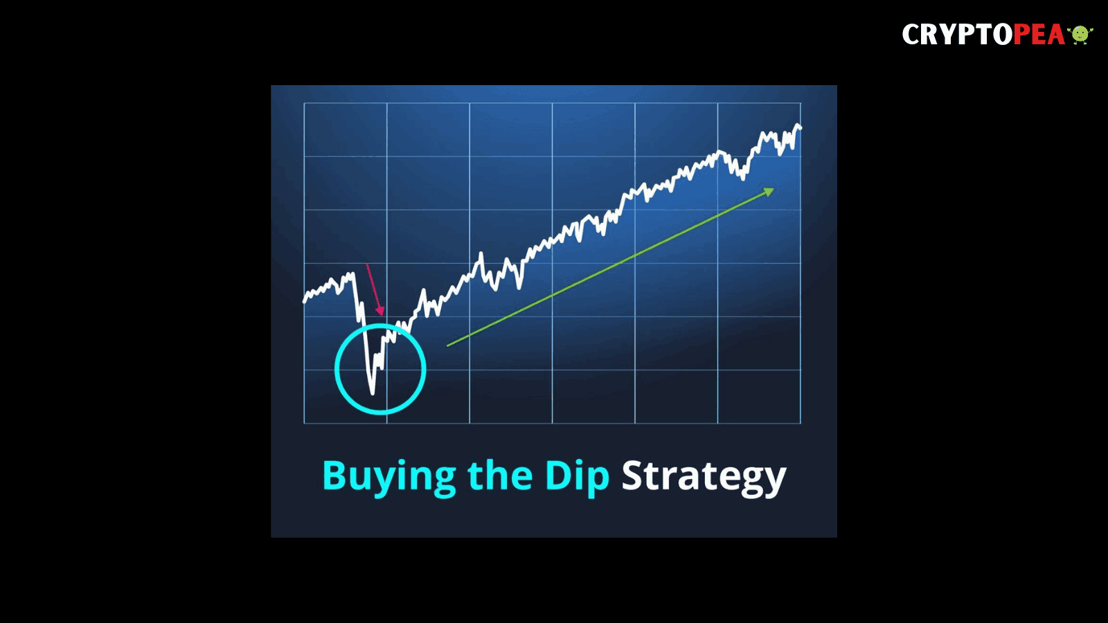 buy the dip in a Bull Market